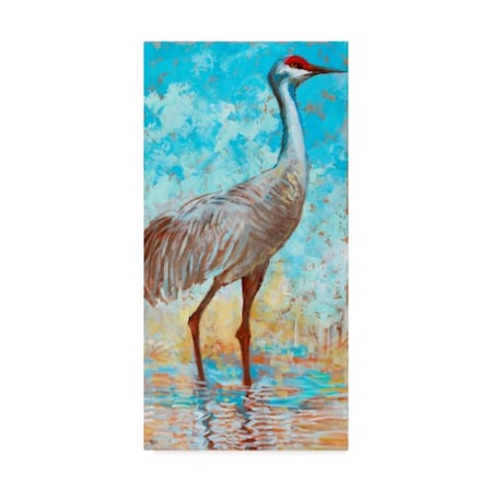 Cecile Broz 'Sandhill Cranes Ii' Canvas Art,10x19